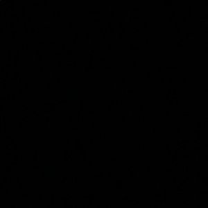 Meet your Posher, Felipe